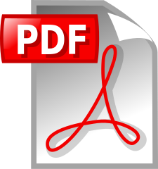 Erklärung als PDF